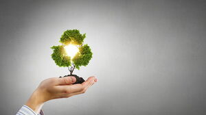 Elinde yeşil fidanların arka plan resmi