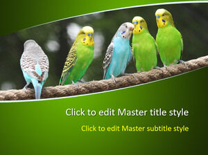 แม่แบบ PPT นกฟรี