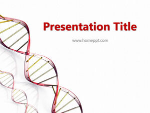 Modello PPT di chimica gratuito