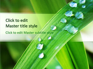 Ücretsiz Çiy PPT Şablonu