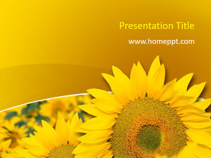 Template PPT Bunga Matahari Gratis