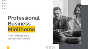 Minitemă profesională de afaceri