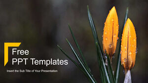 디지털 마케팅을 위한 무료 파워포인트 템플릿