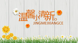 Warm, Fresh, Youth, and Growth Album PPT Template Download