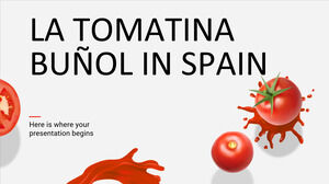 theme/watercolor-shapes-mk-plan-infographics