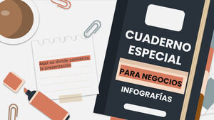 Special Notebook for Business Infographics