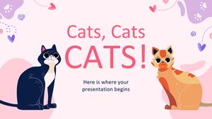 Gatti, gatti, GATTI!