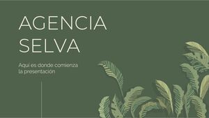 Yağmur Ormanı Ajansı