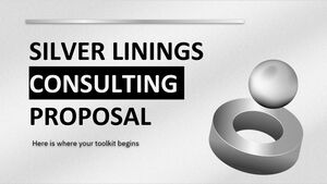 Proposta de consultoria Silver Linings