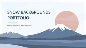 Portofoliu de fundaluri de zăpadă