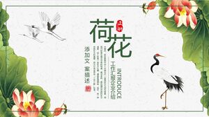 Lotus Work Report Enterprise Introduction