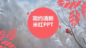 PPT beige simple et frais