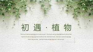 初めての出会い - 植物