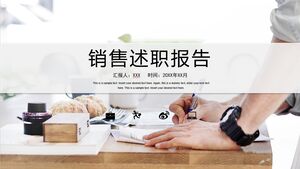 Satış Performans Raporu