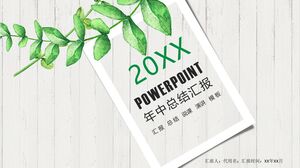 รายงานสรุปกลางปี