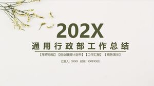 Departamentul de Administrație Generală Rezumat Lucrări - Gri Galben - Iarbă Mică