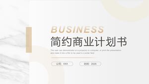 2029 Plan de afaceri minimalist