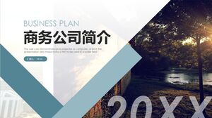 Введение в бизнес-компанию