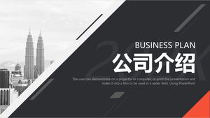 20xx Introducere companie