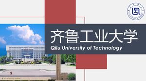 Qilu University of Technology