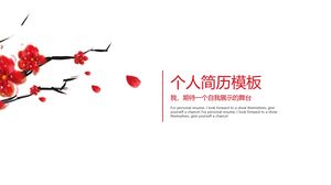 Шаблон личного резюме