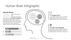 Infografica sul cervello umano