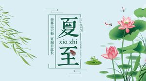 Exquisito fondo de loto de hoja de sauce Solsticio de verano Términos solares Introducción Plantilla PPT