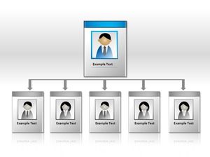 Organigramme standard Organigramme PPT