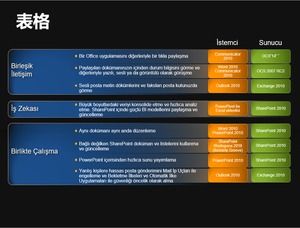 漂亮的4項PPT表圖表