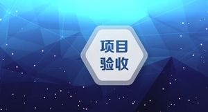 PPT-Vorlage für Projektabnahme-Zusammenfassungsbericht