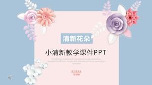 قالب التدريس PPT الصغيرة الطازجة