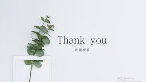 简约小清新绿色植物背景