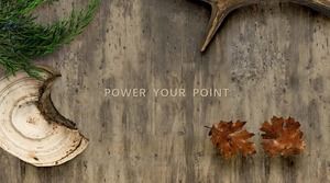 Лесные животные и растения тема атмосферная большая картинка простой шаблон ppt