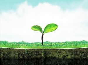 Fresh and natural elegant spring green ppt template (7 sets)