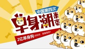 중국의 네 번째 싱글 조수는 결혼 태도 조사 보고서 PPT 템플릿을 공격