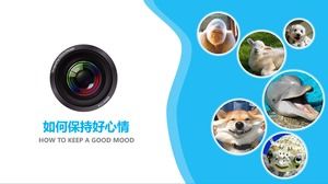 如何保持心情愉快-商務演示文稿ppt模板