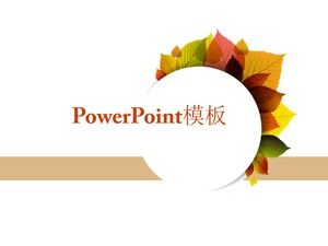 Kreative bunte Ahornblatt einfache Geschäfts-ppt-Schablone