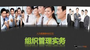 Organisations- und Managementpraxis-internes Training ppt Vorlage