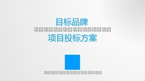 ブランドプロジェクト入札方式の一般的なPPTテンプレート