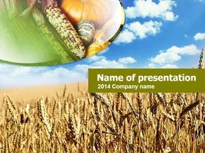 Corn, pumpkin, wheat wave thanksgiving theme ppt template