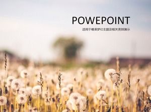 Красивый и элегантный однотонный эффект ios полупрозрачный шаблон ppt