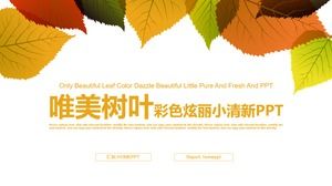 신선한 잎 배경 작업 계획 PPT 템플릿