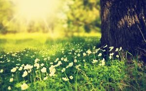 ภาพพื้นหลัง PPT สไตล์สไตล์ห้าคิดถึง