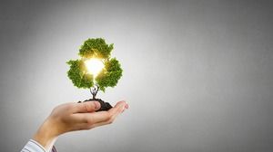 手拿著綠樹樹苗PPT背景圖片