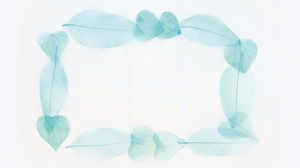 Frunză albastră frumoasă imagine de fundal PPT