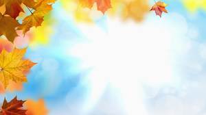 Immagine del fondo dello scorrevole della foglia di acero