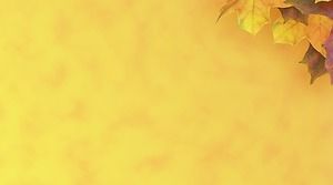 两张美丽的枫木PPT背景图片