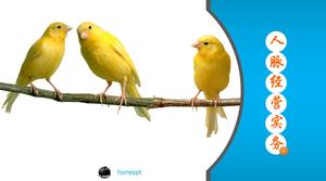 PPT 교육 코스웨어 무료 다운로드