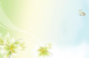 Immagine del fondo della sfuocatura PPT della farfalla del fiore