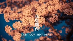 قم بتنزيل مجموعة من صور خلفية زهر الكرز